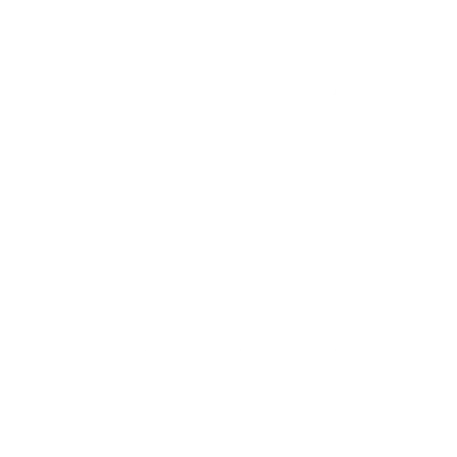 Fuzion Chery - Year Icon